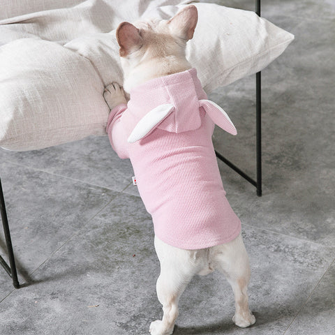 Dog Spring & Autumn Sweater