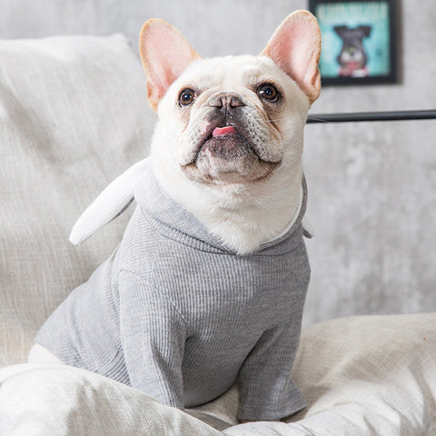 Dog Spring & Autumn Sweater