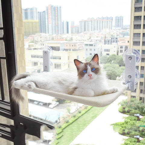 Cat Suction Cup Window Glass Hammock