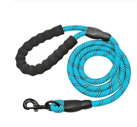 Reflective Nylon Dog Leash with Foam Handle