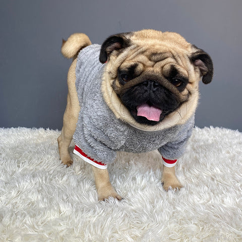Cotton Pet Sweater