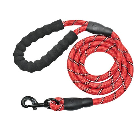 Reflective Nylon Dog Leash with Foam Handle