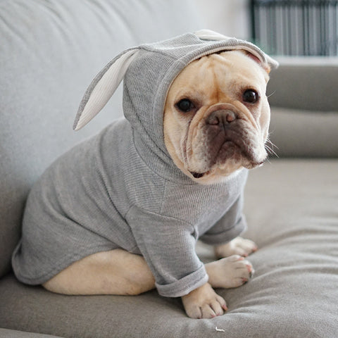 Dog Spring & Autumn Sweater