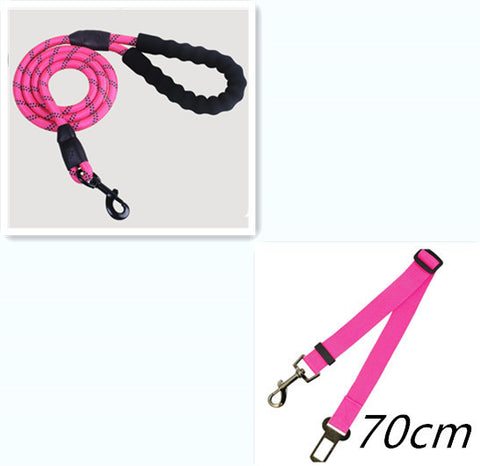 Reflective Nylon Dog Leash with Foam Handle