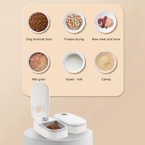 Automatic Smart Pet Feeder & Water Dispenser