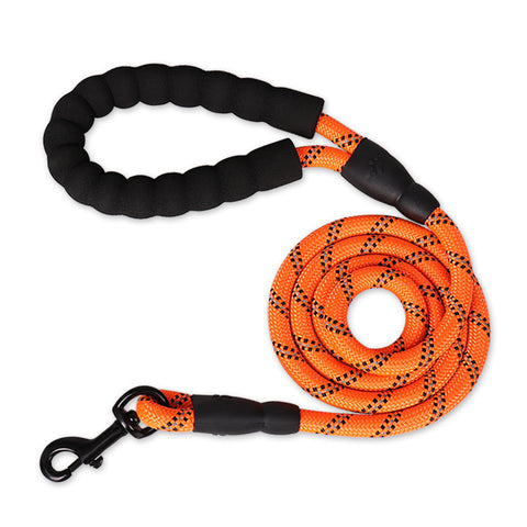 Reflective Nylon Dog Leash with Foam Handle