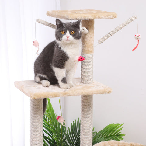 Cat Climber & Cat House