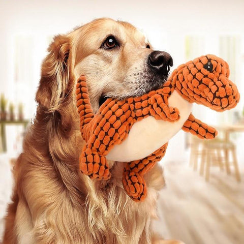 Dinosaur Interactive Plush Dog Toy