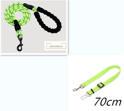 Reflective Nylon Dog Leash with Foam Handle