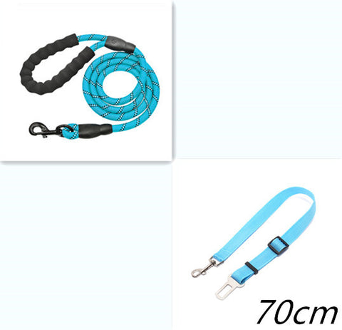 Reflective Nylon Dog Leash with Foam Handle