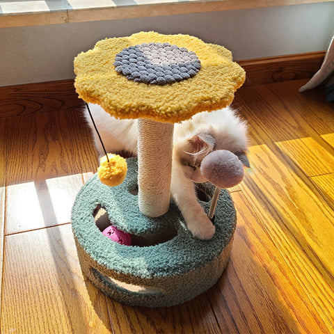 Cat Scratch Board & Claw Grinding Toy