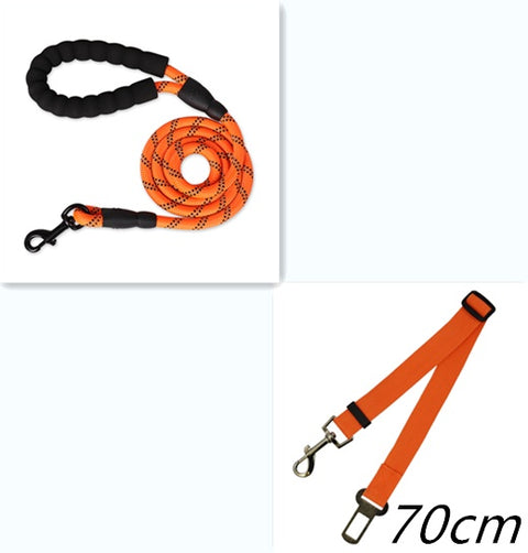 Reflective Nylon Dog Leash with Foam Handle