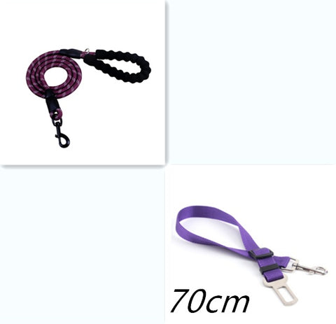 Reflective Nylon Dog Leash with Foam Handle