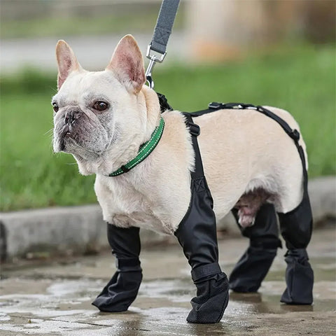 Waterproof Adjustable Dog Shoes