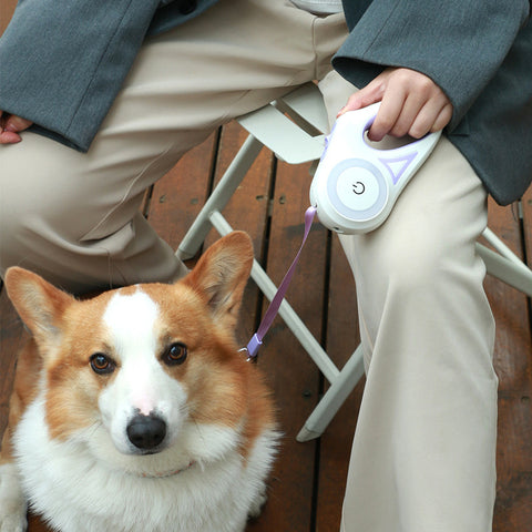 Retractable Dog Leash & Collar Set
