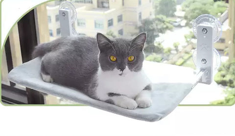 Cat Suction Cup Window Glass Hammock
