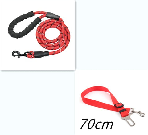 Reflective Nylon Dog Leash with Foam Handle