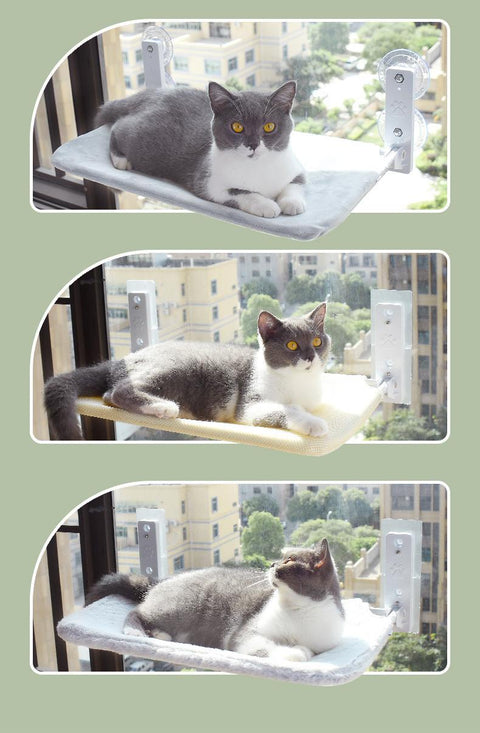 Cat Suction Cup Window Glass Hammock