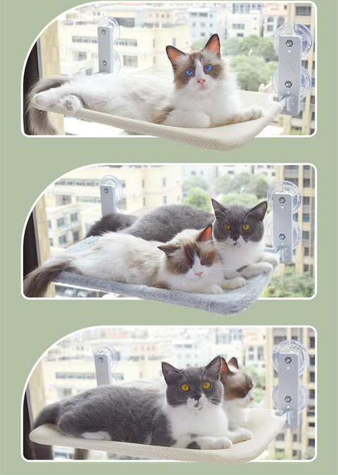 Cat Suction Cup Window Glass Hammock