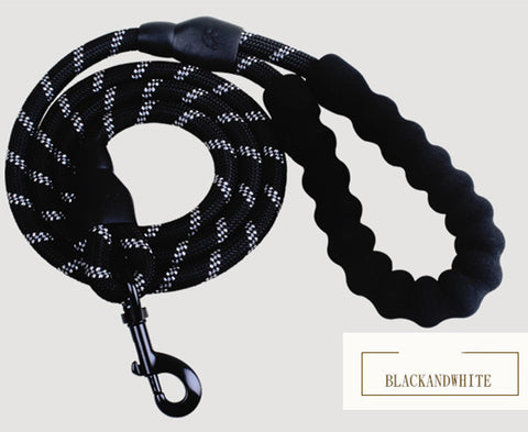 Reflective Nylon Dog Leash with Foam Handle