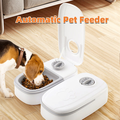 Automatic Smart Pet Feeder & Water Dispenser