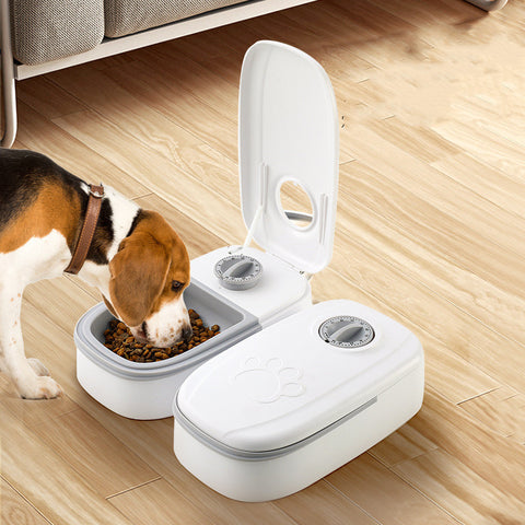 Automatic Smart Pet Feeder & Water Dispenser